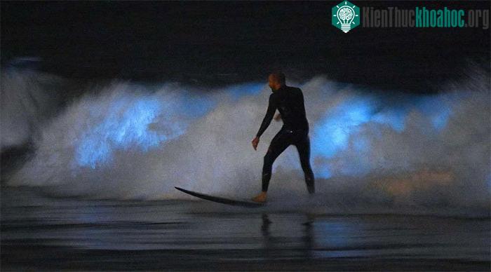 Các hoạt động như bơi lội, lướt sóng và chèo thuyền đã được cho phép tại San Diego