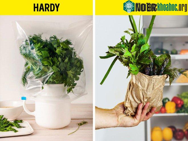 Không lưu trữ các loại thảo mộc theo từng loại
