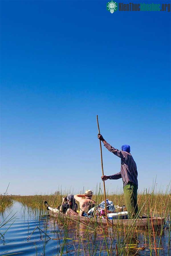 Ngồi trên Mokoro băng qua đồng bằng sông Okavango