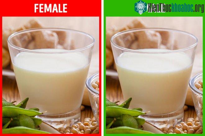 Đậu nành và các dẫn xuất của nó