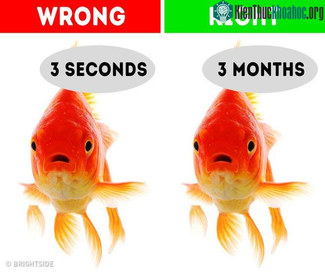 8 quan niệm sai lầm ăn sâu vào ý thức của nhân loại, thậm chí được đưa vào sách giáo khoa ảnh 6