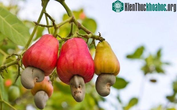 19 hình ảnh giải mã những điều bí ẩn trên thế giới ảnh 7
