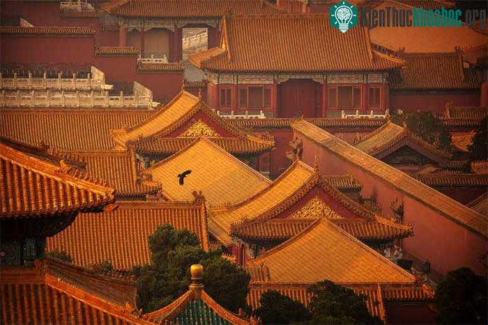 Một cánh chim đơn độc lướt qua Tử Cấm Thành, nơi đã tạm đóng cửa để ngăn chặn virus lây lan