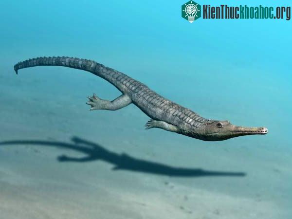 Steneosaurus.