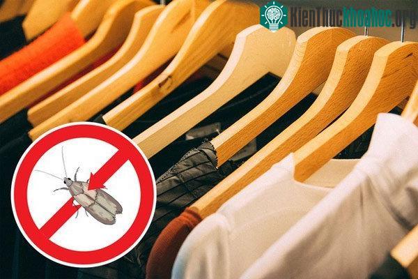 Tác dụng của móc treo làm từ gỗ