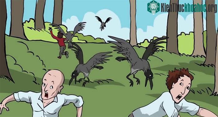 Động vật có trả thù giống như con người không? ảnh 0
