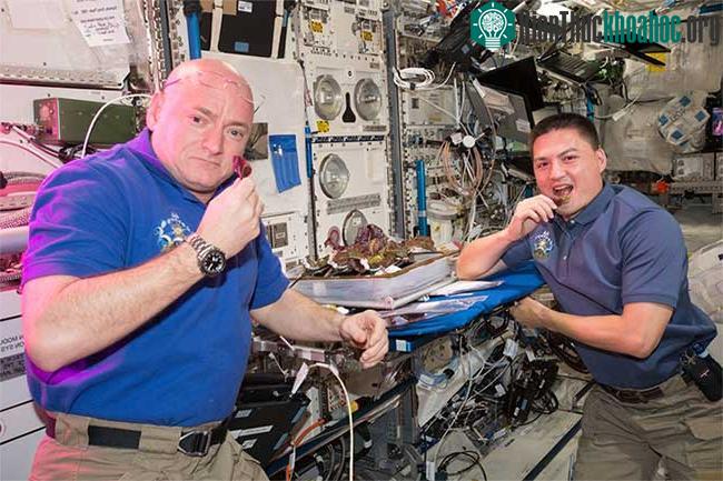 Rau diếp trồng trên Trạm vũ trụ Quốc tế (ISS) không chỉ ngon mà còn bổ dưỡng