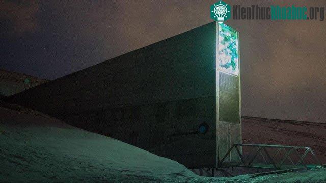 Căn hầm hạt giống toàn cầu Svalbard Global Seed Vault (SGSV).