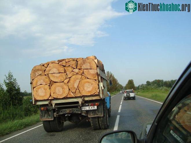 Nhiều người tự hỏi người xếp đống gỗ này mất bao nhiêu thời gian