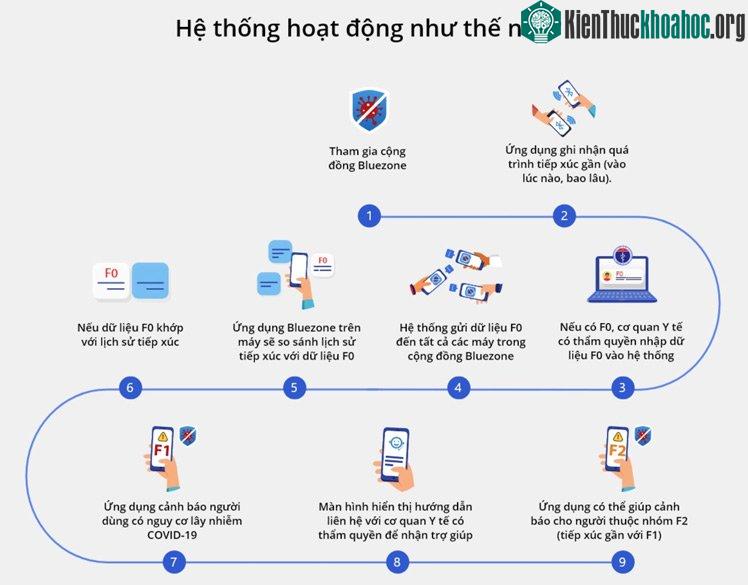 Cơ chế hoạt động
