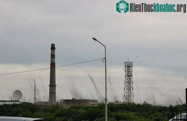 Những cơn lốc xoáy hình thành từ hàng tỷ con muỗi có thể nhìn rõ từ khoảng cách xa