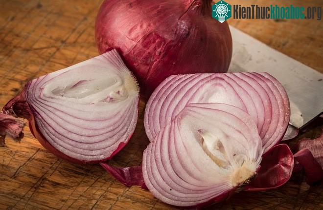 Hành tây đỏ được cho là nguyên nhân khiến bệnh do khuẩn Salmonella gây ra lây nhiễm sang gần 400 người ở Mỹ.