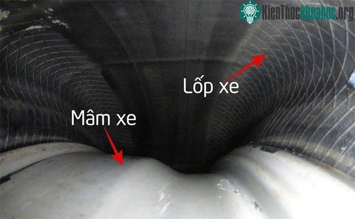 Bên trong lốp xe.