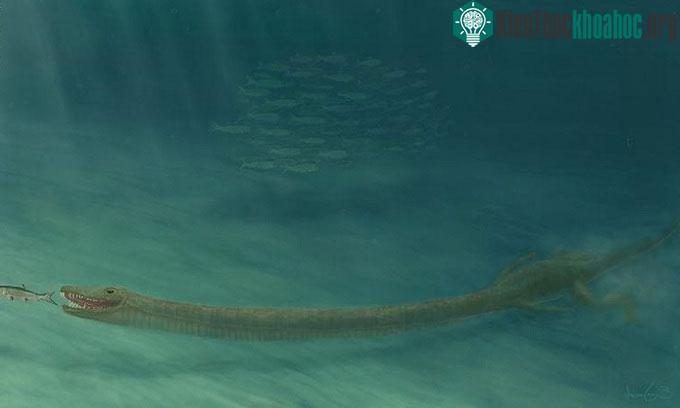 Phục dựng hình dáng của Tanystropheus.