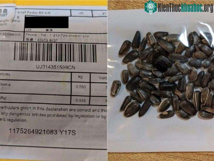 Một bưu kiện in chữ Trung Quốc chứa hạt giống bí ẩn.