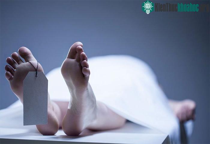 Cái chết đen: Nỗi ám ảnh bệnh dịch hạch ảnh 0