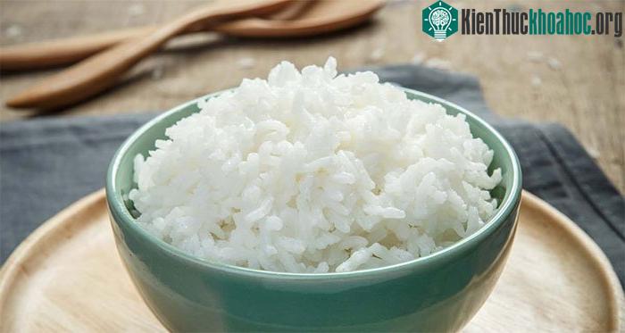 Tinh bột mà điển hình là cơm chiếm một phần năng lượng chính trong khẩu phần ăn của người