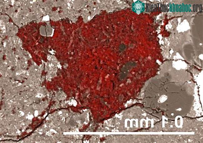 Phần màu đỏ trong mảnh thiên thạch này chính là mẩu sao chổi đã “di cư” từ tận bên lề Hệ Mặt trời xa xôi xuống mặt đất.