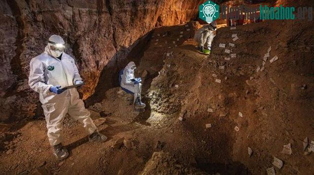 Các nhà khảo cổ tại hang động ở Mexico.