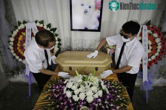 Ngành học này có điểm xét tuyển thấp nhưng sinh viên ra trường lại rất được "chuộng".