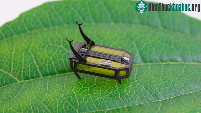 Robot bọ cánh cứng nhỏ chạy bằng methanol
