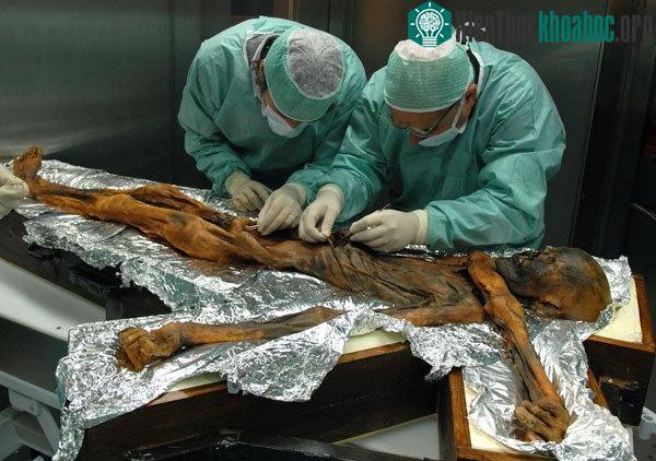 Xác ướp nổi tiếng Otzi và cái nhìn về người cổ