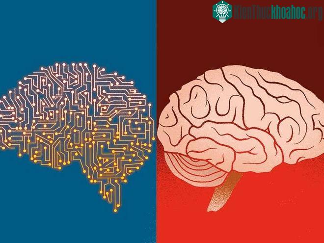 Quá trình tìm kiếm vật liệu trung gian kết nối giữa não bộ con người với AI vốn là thách thức lớn