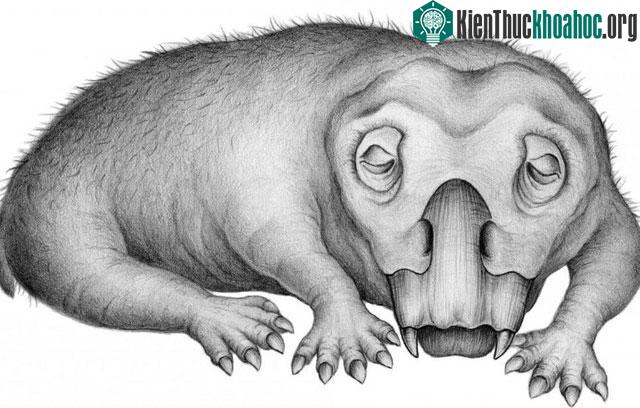 Loài Lystrosaurus sống ở những nơi băng giá nhất của siêu lục địa Pangea.