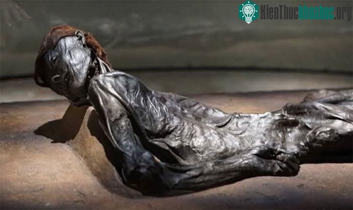 Trên cơ thể Grauballe có nhiều thương giống như nghi thức hiến tế.