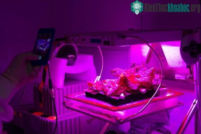 Khai phá vũ trụ chỉ thành công nếu khó khăn này được giải quyết ảnh 1