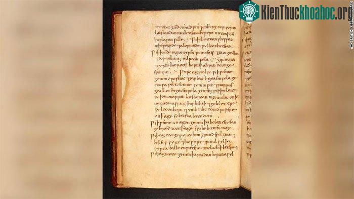 Sách cổ “Bald's Leechbook”.