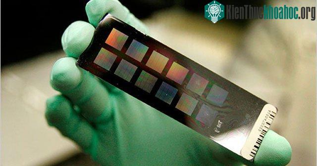 Môi trường ảnh hưởng đến khoảng 70% các yếu tố cấu tạo nên gene và biểu hiện của chúng.