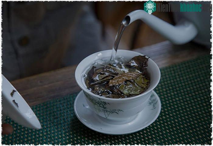 Rửa sạch trà trước khi chúng ta pha chúng có thể loại bỏ hiệu quả hầu hết các tạp chất.