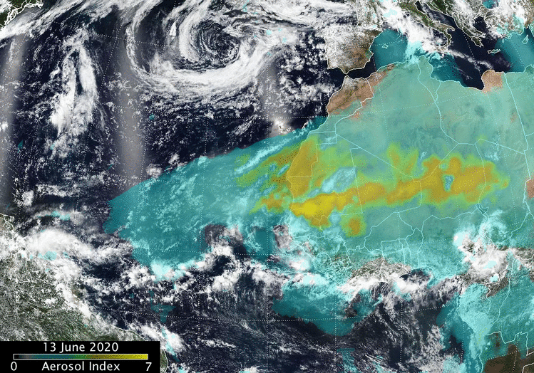 Hình ảnh tua nhanh quá trình Godzilla vượt Đại Tây Dương. (Ảnh: NOAA/NASA).