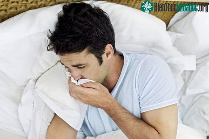 Cái chết đen: Nỗi ám ảnh bệnh dịch hạch ảnh 1