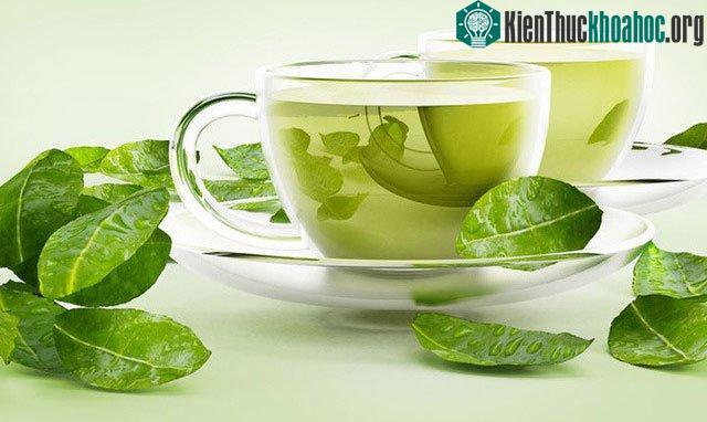 Tống Mỹ Linh thích uống trà và rượu nho.