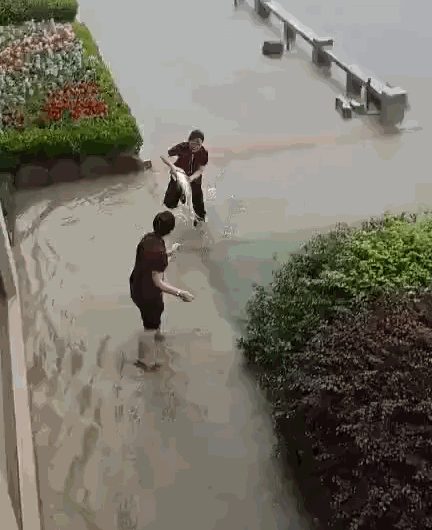 Người dân Chiết Giang thu hoạch cá mè hoa do đập thủy điện Tân An Giang xả lũ