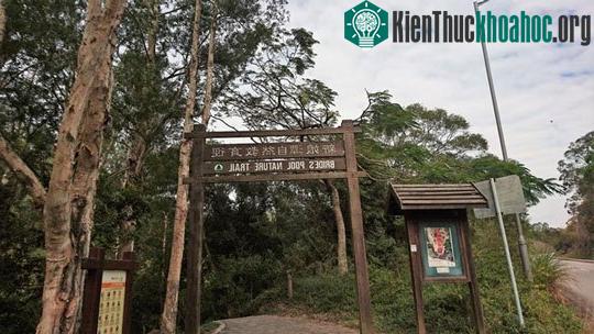 Thác nước chảy xuống hồ đá cạn ở đông bắc Tân Giới, gần khu Tai Mei Tuk, Hồng Kông