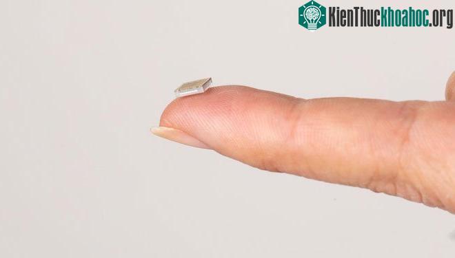 Hình ảnh con chip đưa vào não mà Neuralink từng khoe năm 2019.