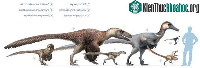 Khủng long Utahraptor