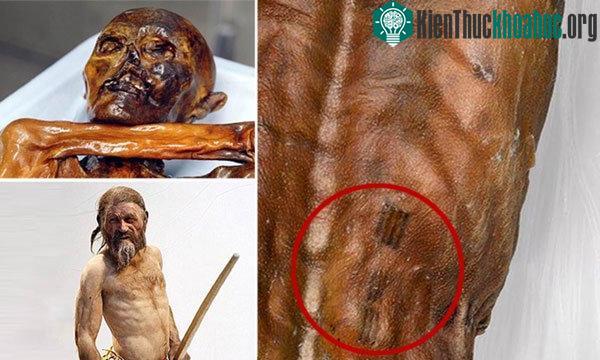 Tìm quanh cơ thể Otzi, người ta tìm thấy rất nhiều công cụ đá và cung tên