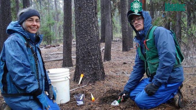 Các nhà nghiên cứu nấm Joyce Eberhart và Dan Luoma (phải) tại Đại học Oregon.
