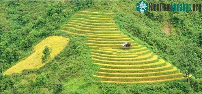 Ngôi nhà trên ruộng bậc thang ở bản La Pán Tẩn, huyện Mù Cang Chải, tỉnh Yên Bái, Tây Bắc, Việt Nam.