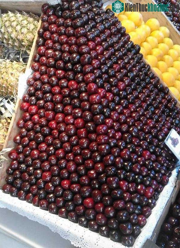 Xếp đẹp như này khách hàng nào nỡ mua cherry nữa nhỉ?