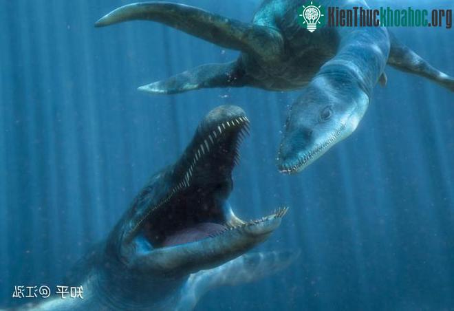 Mỗi cú đớp của Predator X có thể lên tới 15 tấn, gần gấp 3 lần lực cắn của Tyrannosaurus Rex.
