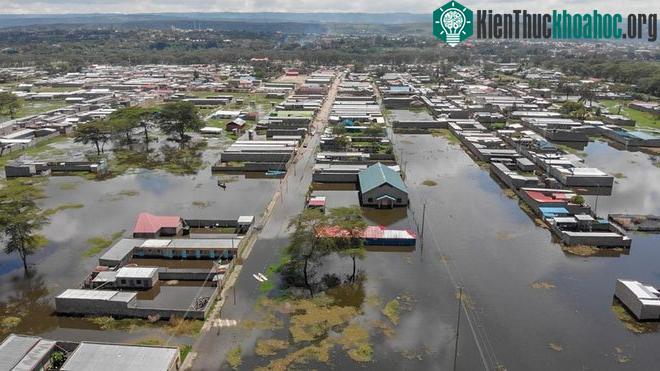 Những ngôi nhà xung quanh Hồ Naivasha, Kenya chìm trong biển nước sau trận mưa lớn.