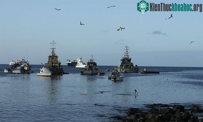 Thuyền đánh cá và du lịch neo đậu ở vịnh San Cristóbal, quần đảo Galapagos, Ecuador.