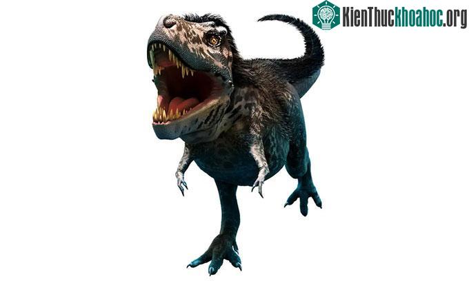 Hình ảnh phục dựng loài Vectaerovenator inopinatus.