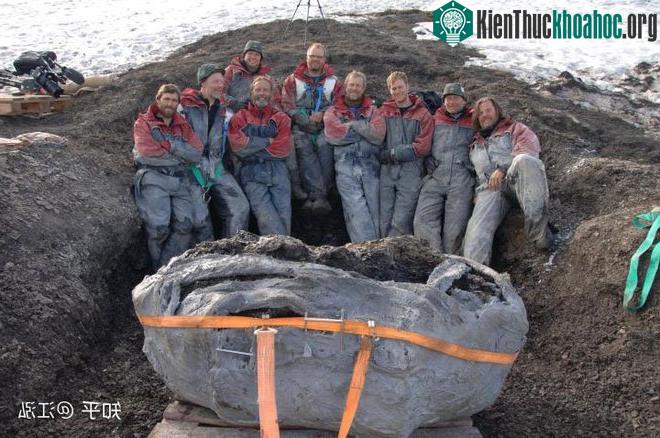Sau khi lớp băng trên đảo Svalbard tan chảy, những mảnh xương hóa thạch bất ngờ phát lộ,