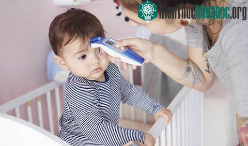 Nhiệt kế hồng ngoại